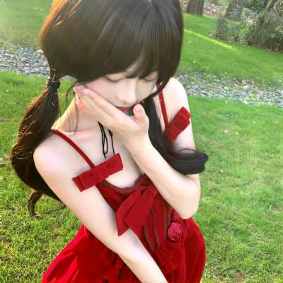 宝可梦：目标是宝可梦大师